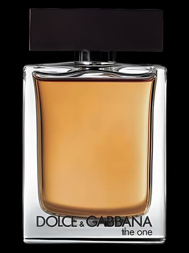 Dolce & Gabbana The One For Men