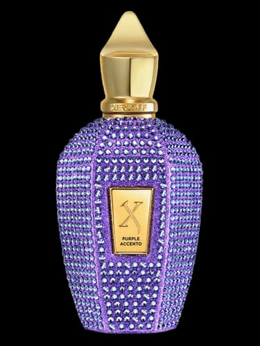 Xerjoff Purple Accento Crystal Edition